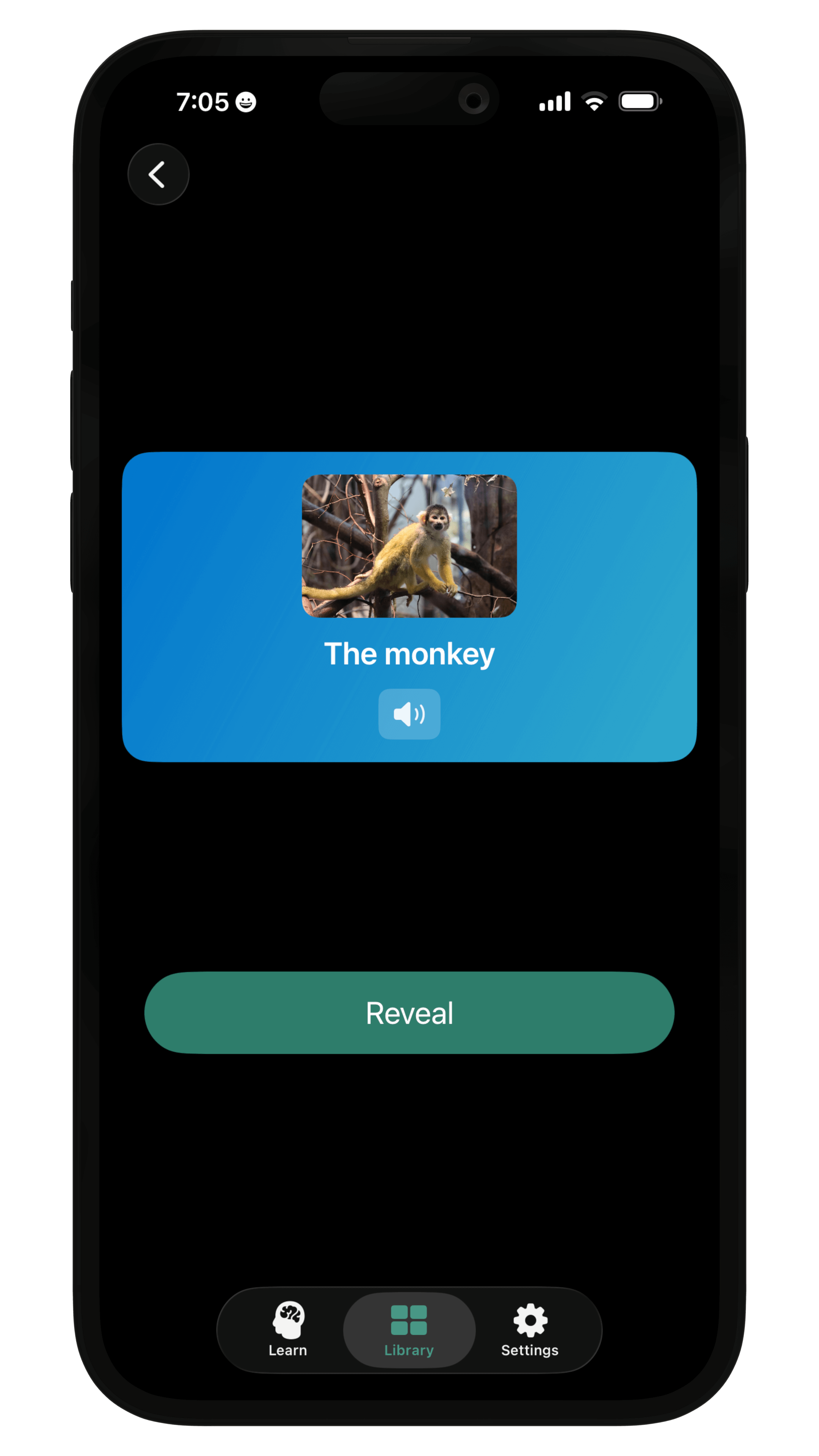 Demo screenshot of someone using Rotely